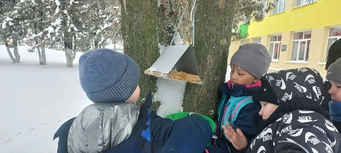 «Покормите птиц зимой»